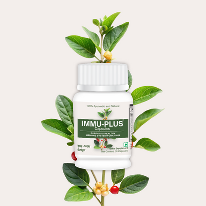 https://cdn.shopify.com/s/files/1/1857/6931/files/drrS7Tucvu.png?v=1755062566