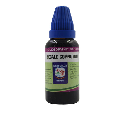 https://cdn.shopify.com/s/files/1/1857/6931/files/dubz7XY3I8.jpg?v=1716986597