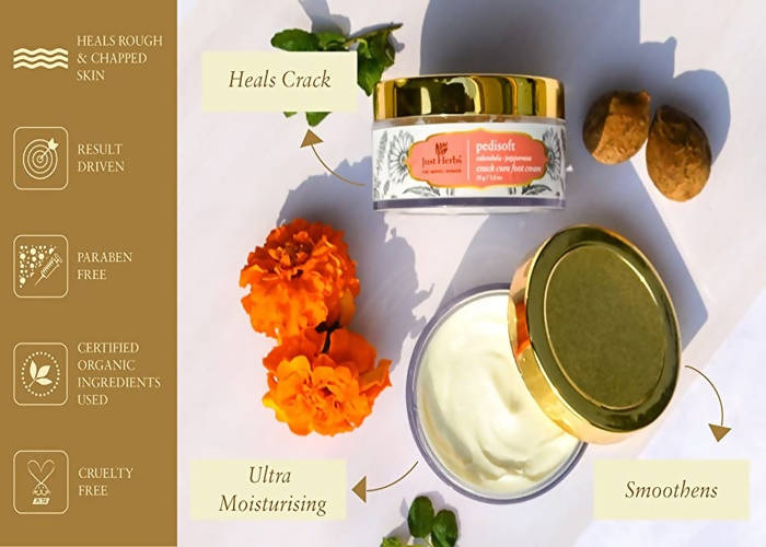 https://cdn.shopify.com/s/files/1/1857/6931/products/dvLzNIqIOk.jpg?v=1623902827