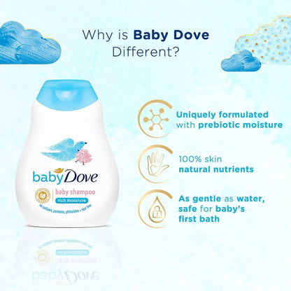 https://cdn.shopify.com/s/files/1/1857/6931/files/dwzZlourv6-234390.jpg?v=1736151425