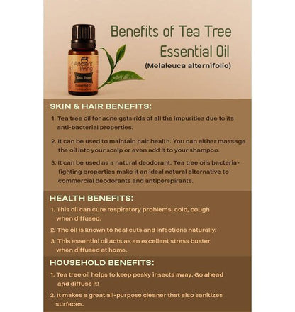 https://cdn.shopify.com/s/files/1/1857/6931/files/dxaokhRqRr-405106.jpg?v=1736147459