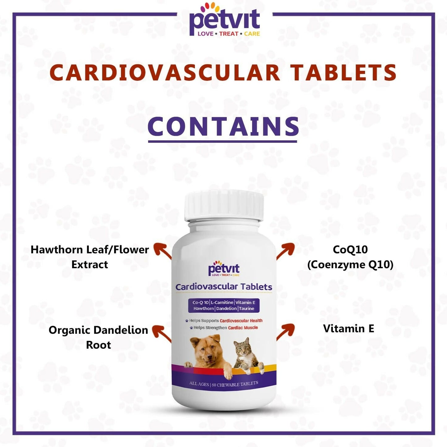 https://cdn.shopify.com/s/files/1/1857/6931/files/dxrVftIW4p.jpg?v=1765168795
