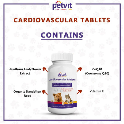 https://cdn.shopify.com/s/files/1/1857/6931/files/dxrVftIW4p.jpg?v=1765168795