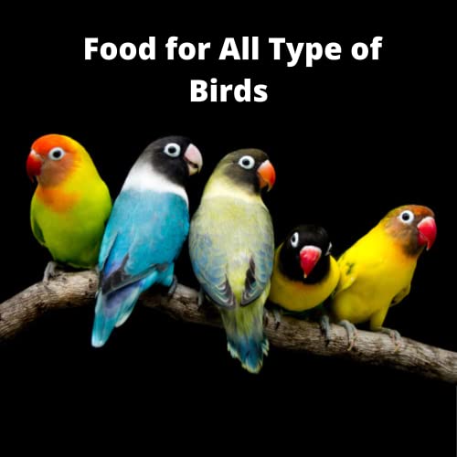 Image 6 of Foodie Puppies Calcium Block Bird Food - 250g