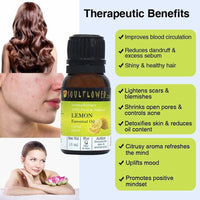 https://cdn.shopify.com/s/files/1/1857/6931/products/e0bN18fobb.jpg?v=1614911233