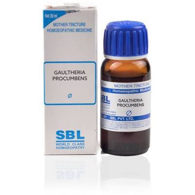 https://cdn.shopify.com/s/files/1/1857/6931/products/e0yS8dPwLt.jpg?v=1613940605