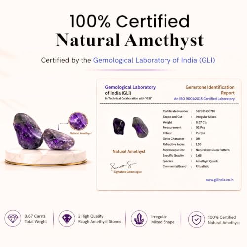 Image 3 of RITUALISTIC Amethyst Dome Crystal Wish Tree