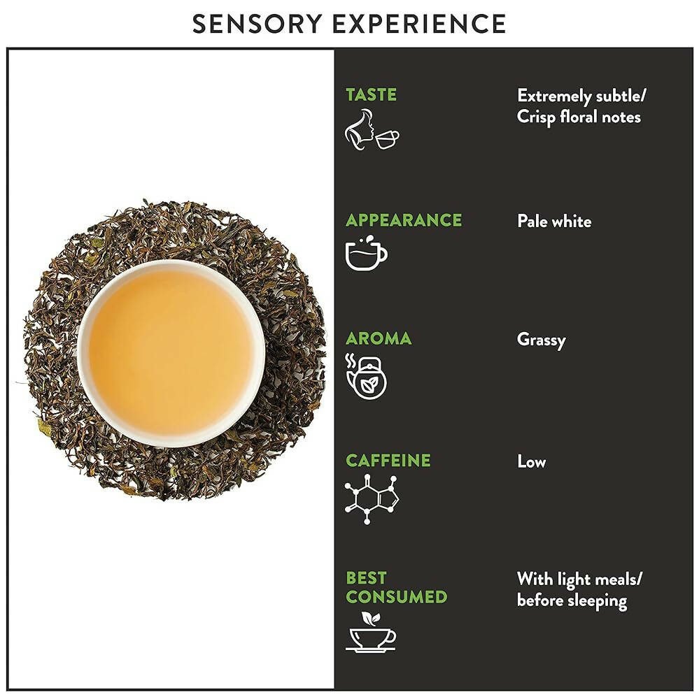 Image 4 of Teamonk Darjeeling Kimaya White Tea (Makes 50 Cups)