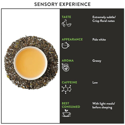 Image 4 of Teamonk Darjeeling Kimaya White Tea (Makes 50 Cups)