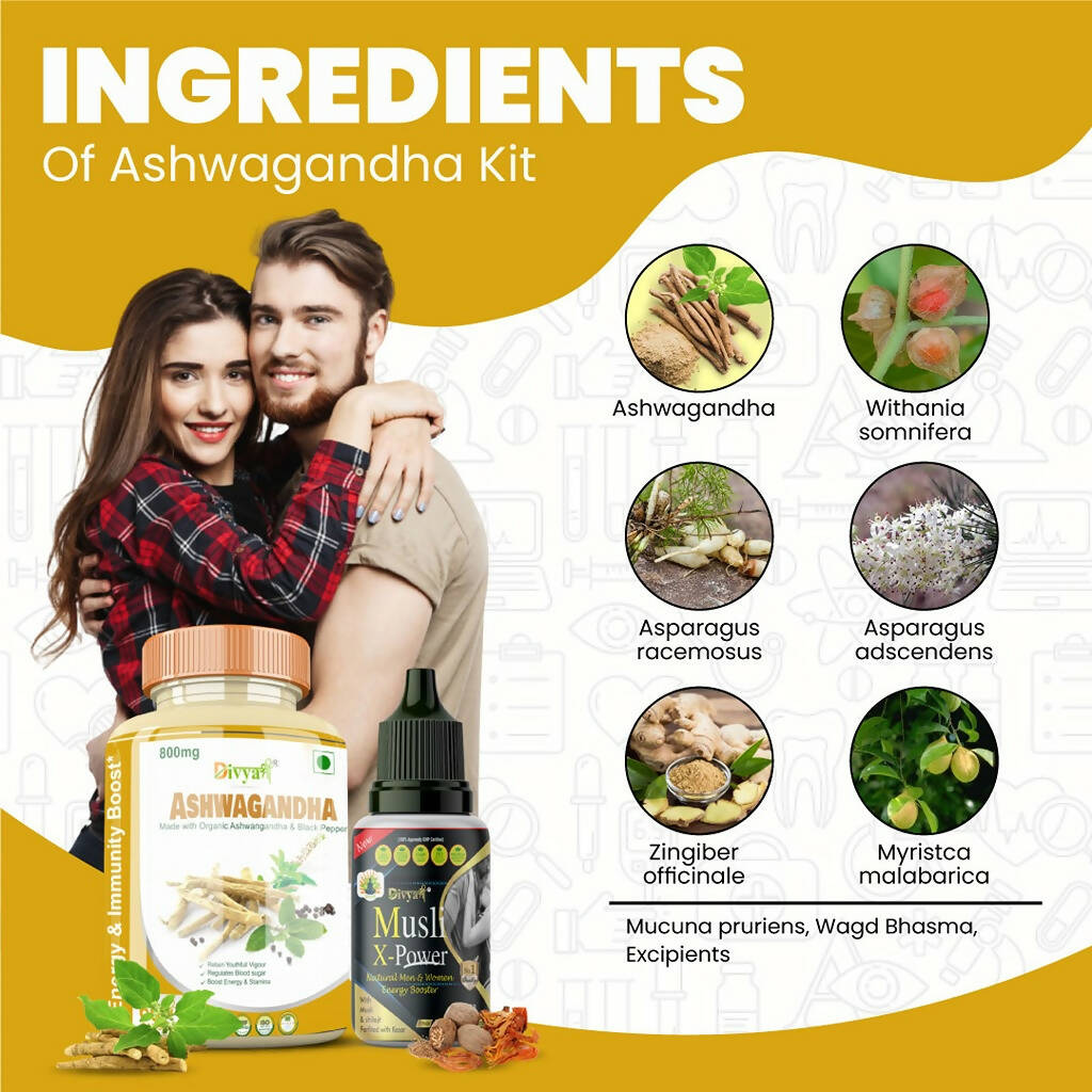 https://cdn.shopify.com/s/files/1/1857/6931/products/e30ntpYIDX.jpg?v=1687267173