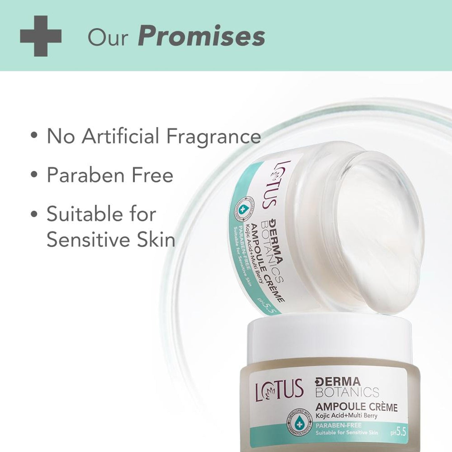 https://cdn.shopify.com/s/files/1/1857/6931/files/e36c570806360018989_7.jpg?v=1758519240