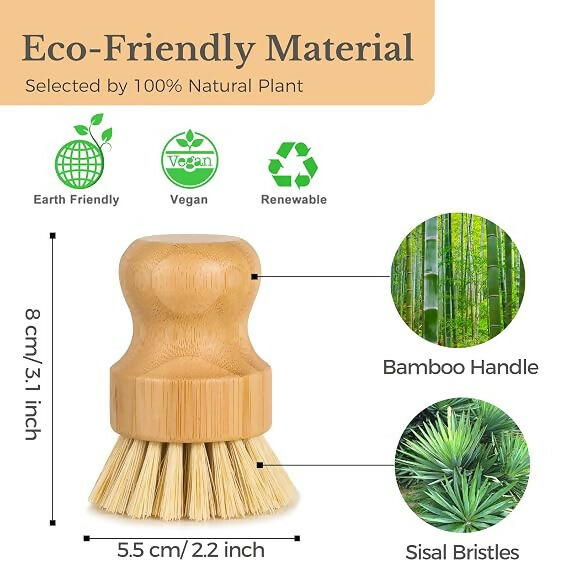 https://cdn.shopify.com/s/files/1/1857/6931/files/e4WsKXKBVS.jpg?v=1783503865