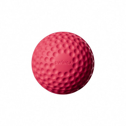 Image 1 of Default Title for the product SG Swinga Cricket Practice Ball