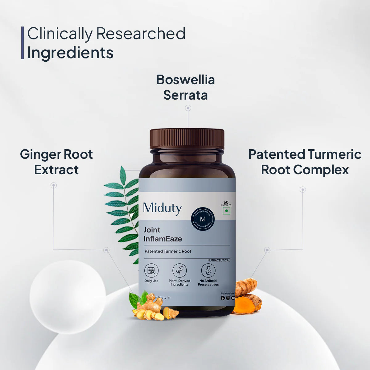 https://cdn.shopify.com/s/files/1/1857/6931/files/e512c9da-db20-4047-8fe9-7d5f2c9ce053.jpg?v=1758264625