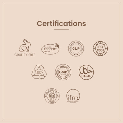 https://cdn.shopify.com/s/files/1/1857/6931/files/e684eb0PERAD00000011_6.jpg?v=1771585931