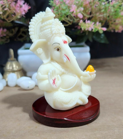 https://cdn.shopify.com/s/files/1/1857/6931/files/e6v5J8QQfb.jpg?v=1714569167