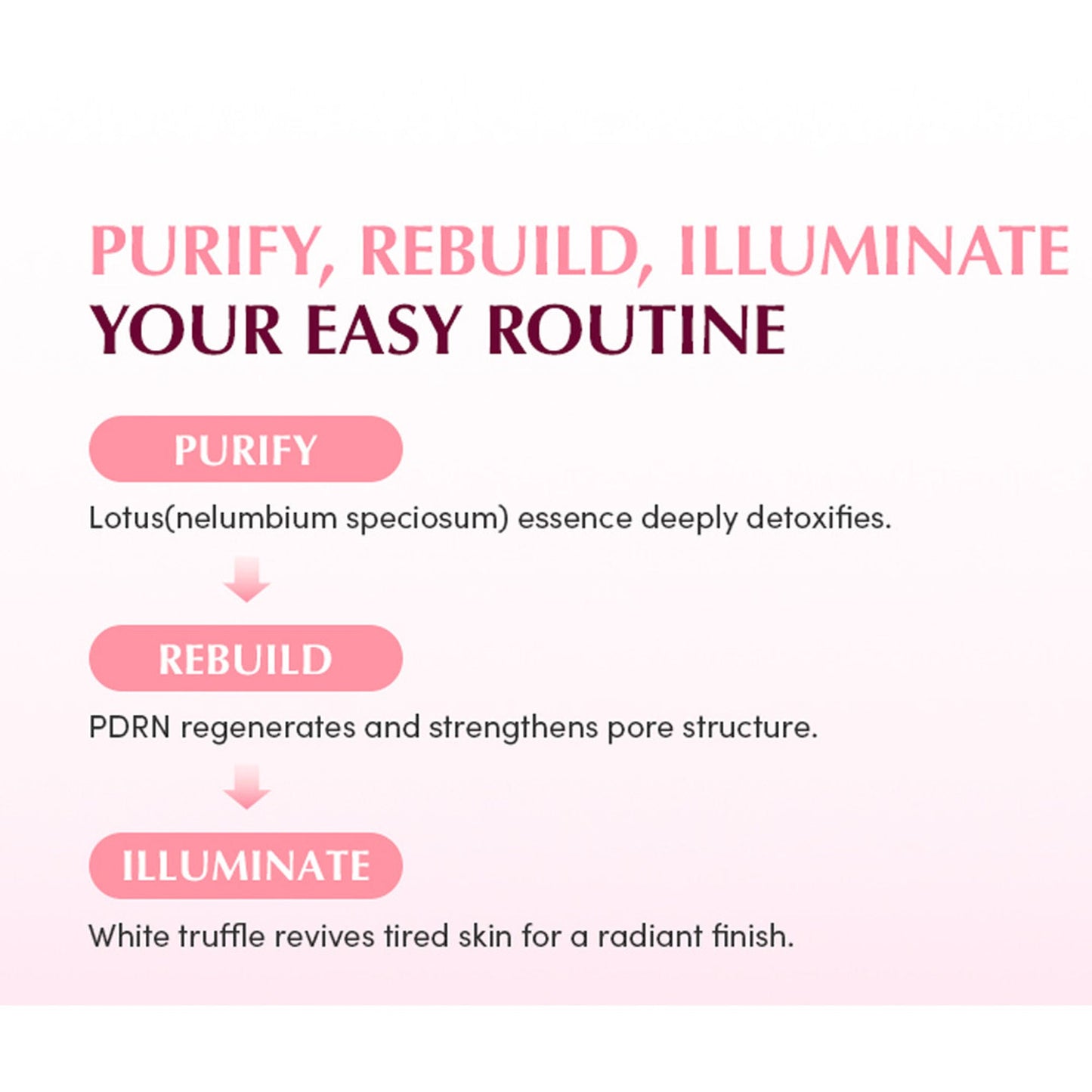 https://cdn.shopify.com/s/files/1/1857/6931/files/e704ac2EQQUA00000012_6x_9f39af30-49e5-4e11-9bb6-7fd64d10a1e1.jpg?v=1777271456
