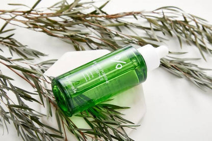 https://cdn.shopify.com/s/files/1/1857/6931/products/e7PfJbXlT5.jpg?v=1626942105