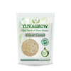 Image 1 of 250 gm for the product Yuvagrow Kikar Gond