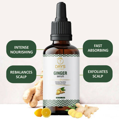 https://cdn.shopify.com/s/files/1/1857/6931/files/e9bTugQVFS-494633.jpg?v=1736140070