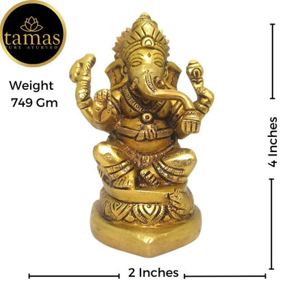 https://cdn.shopify.com/s/files/1/1857/6931/products/eEbhlra4KP.jpg?v=1681466652