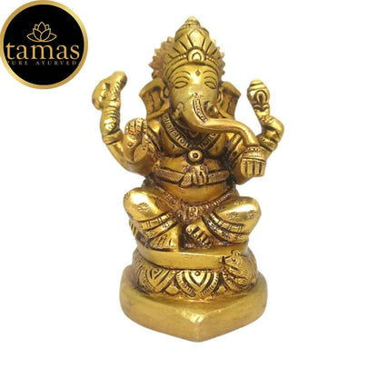 https://cdn.shopify.com/s/files/1/1857/6931/products/eHSsOr8YRp.jpg?v=1681466652