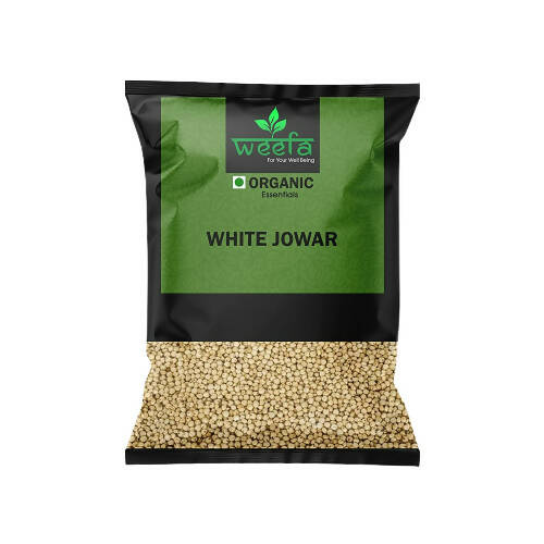 https://cdn.shopify.com/s/files/1/1857/6931/products/eHlfOLON78.jpg?v=1669962659