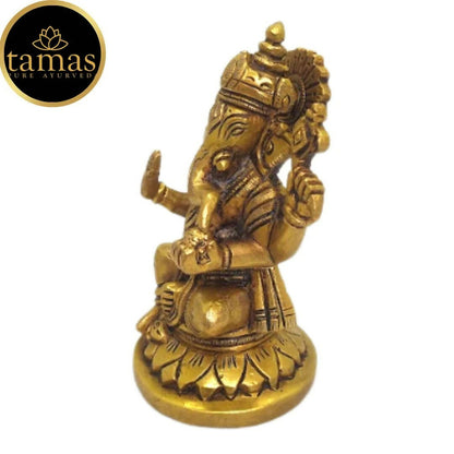 https://cdn.shopify.com/s/files/1/1857/6931/products/eRj7wxE65v.jpg?v=1681474563