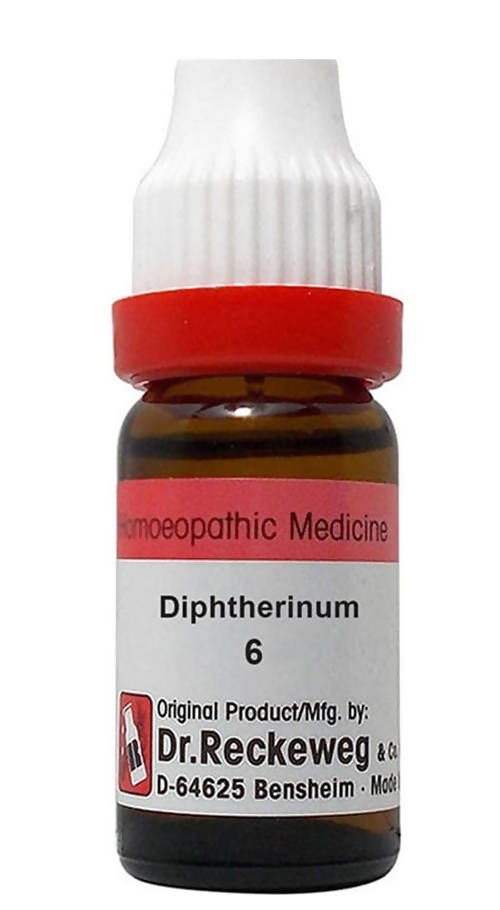 https://cdn.shopify.com/s/files/1/1857/6931/products/eRt3mZj48D.jpg?v=1629426713