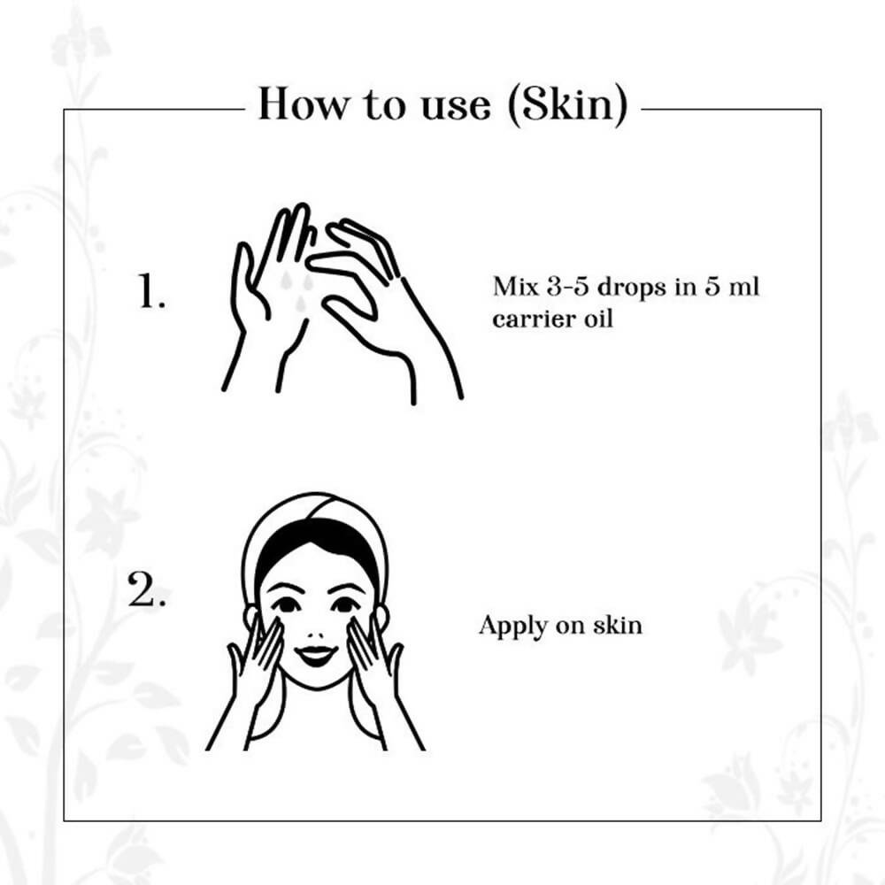 https://cdn.shopify.com/s/files/1/1857/6931/files/eW8QpnibbU-121757.jpg?v=1736146743