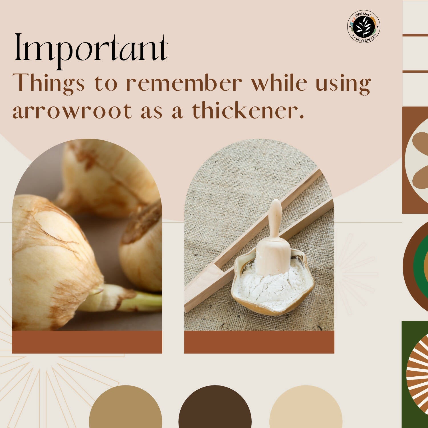 https://cdn.shopify.com/s/files/1/1857/6931/products/eWcE5PBIou.jpg?v=1683361686