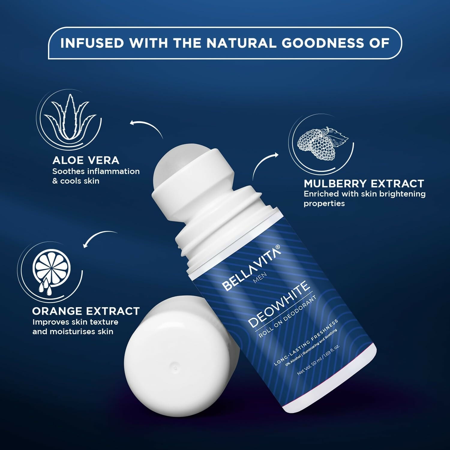 https://cdn.shopify.com/s/files/1/1857/6931/files/eXgCyISQRL.jpg?v=1744448651
