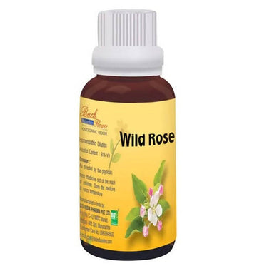 https://cdn.shopify.com/s/files/1/1857/6931/products/eYwNbAUZfd.jpg?v=1762313598