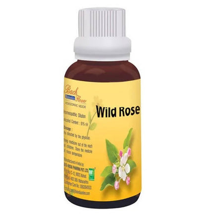 https://cdn.shopify.com/s/files/1/1857/6931/products/eYwNbAUZfd.jpg?v=1762313598