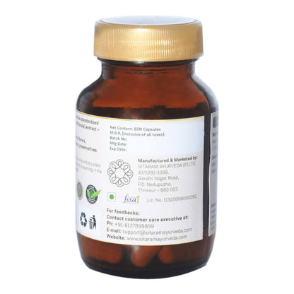https://cdn.shopify.com/s/files/1/1857/6931/products/eZjA0l5loI.jpg?v=1640777188