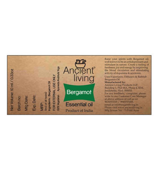 https://cdn.shopify.com/s/files/1/1857/6931/files/ea48AgTZOv-310770.jpg?v=1736147456