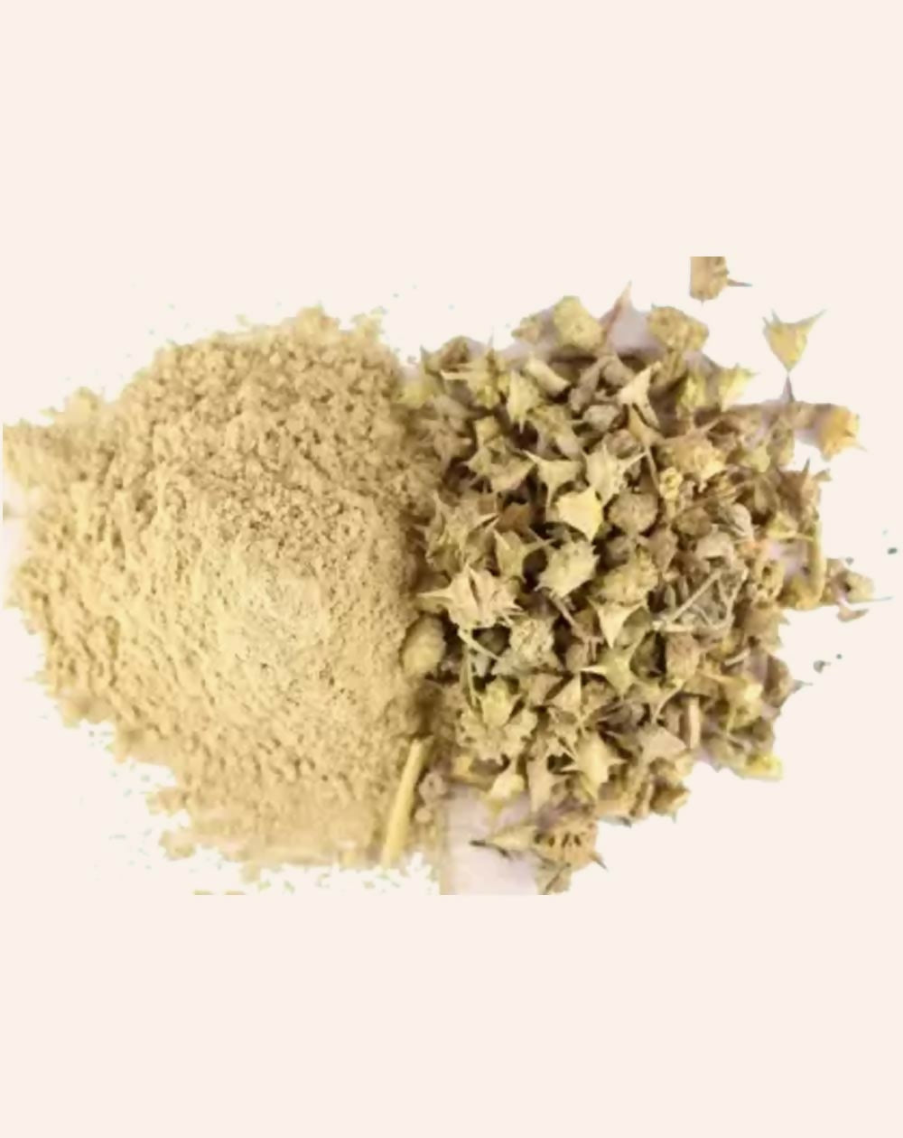 https://cdn.shopify.com/s/files/1/1857/6931/files/eaSHEF8wuO.jpg?v=1761817551