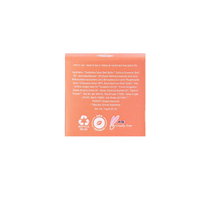 https://cdn.shopify.com/s/files/1/1857/6931/products/earth-rhythm-tinted-lippie-spf-30-cupid-10-gm_1_display_1621401180_b3f2ba2a.jpg?v=1631094143