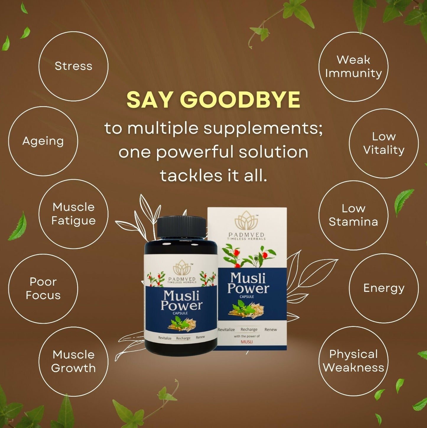 https://cdn.shopify.com/s/files/1/1857/6931/files/eba8RAlTPV.jpg?v=1740033470