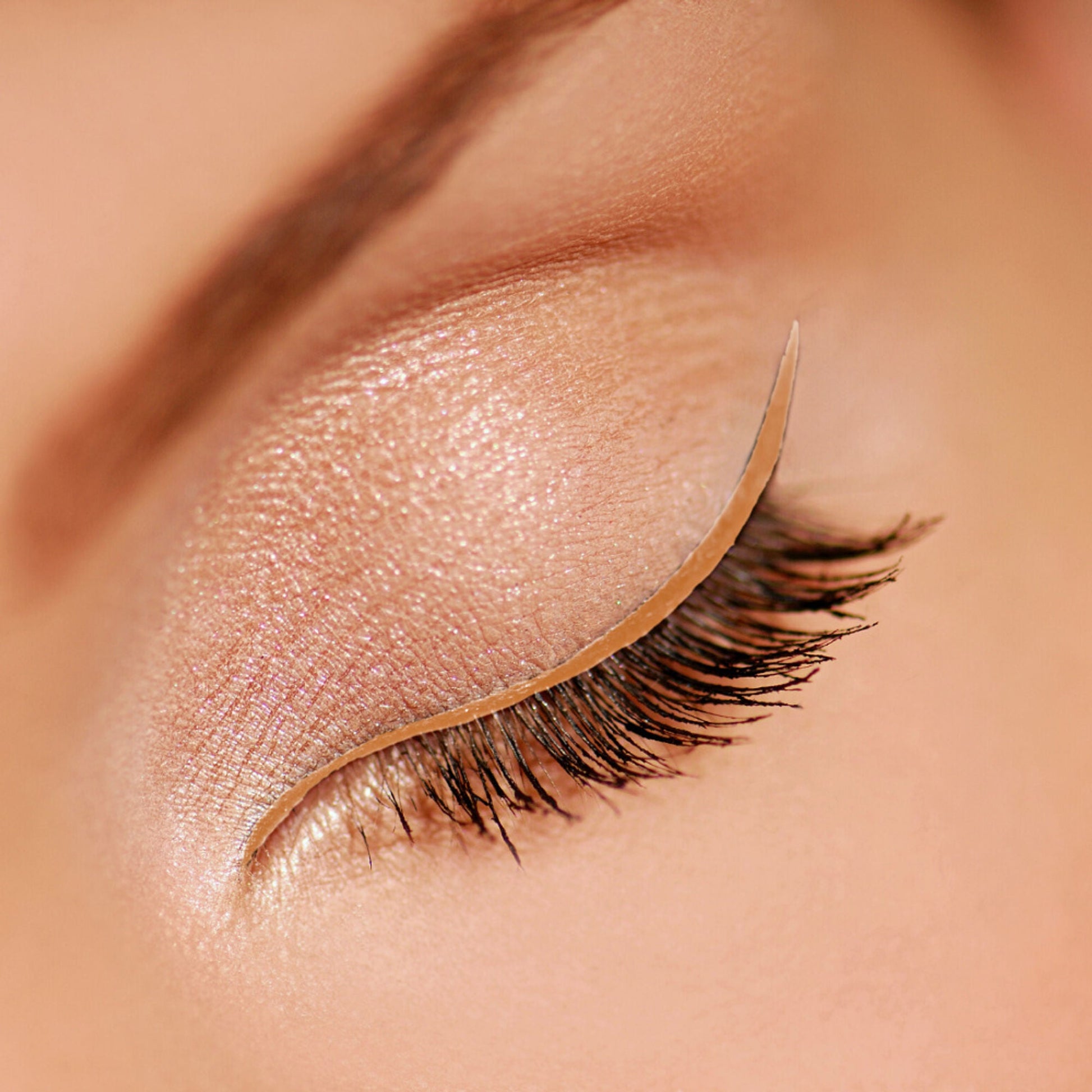 https://cdn.shopify.com/s/files/1/1857/6931/files/ebbd9b58906186200109_4.jpg?v=1770039858