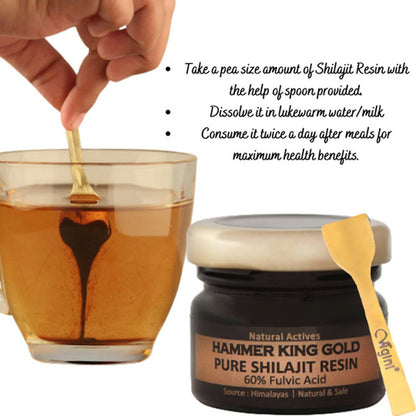 https://cdn.shopify.com/s/files/1/1857/6931/products/ec22mvL0Ym.jpg?v=1683196908