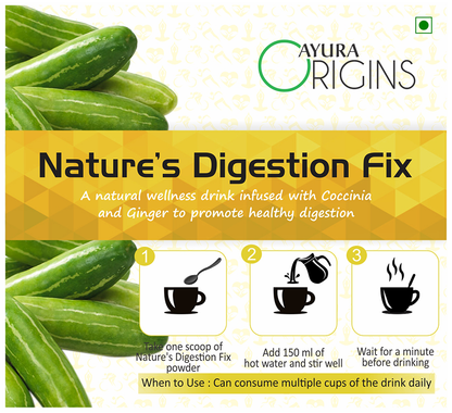 Image 4 of Ayura Origins Nature's Digestion Fix Powder