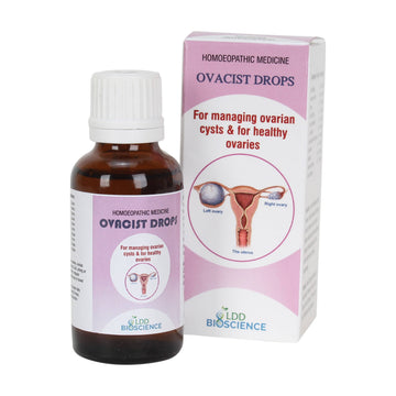 https://cdn.shopify.com/s/files/1/1857/6931/products/eeLcaokw01.jpg?v=1652870967