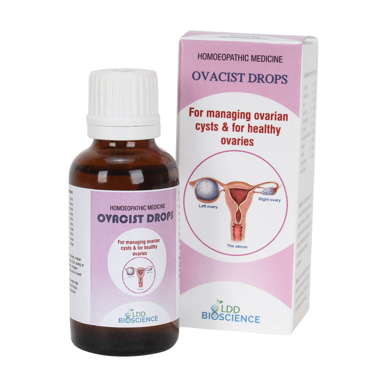 https://cdn.shopify.com/s/files/1/1857/6931/products/eeLcaokw01.jpg?v=1652870967