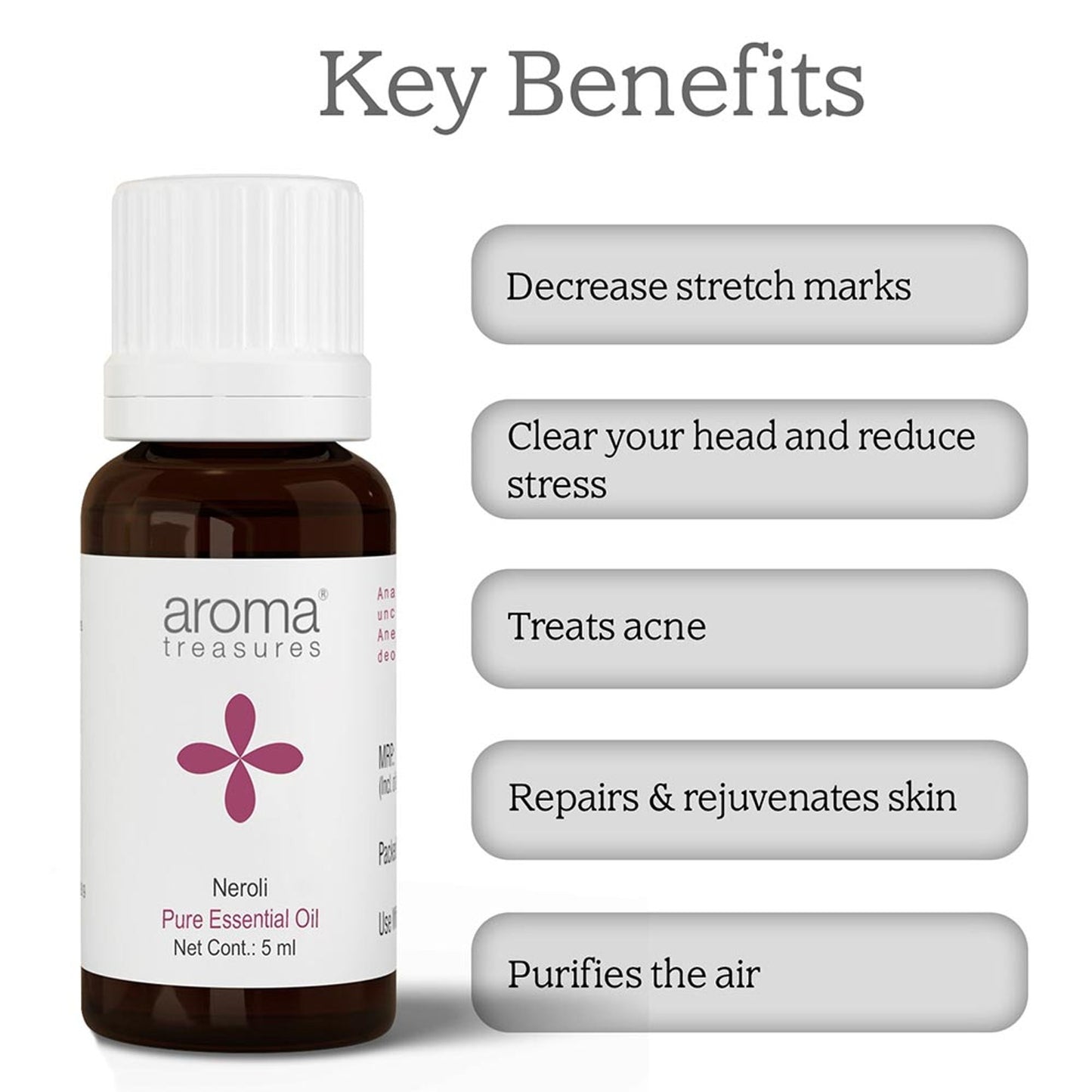 https://cdn.shopify.com/s/files/1/1857/6931/files/effb0fbnyaromatre012_3.jpg?v=1770104463