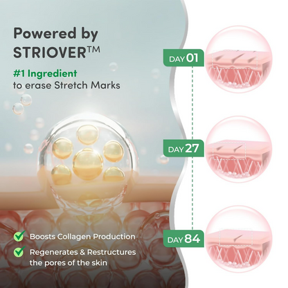https://cdn.shopify.com/s/files/1/1857/6931/files/ehkNriG8XX.png?v=1737976013