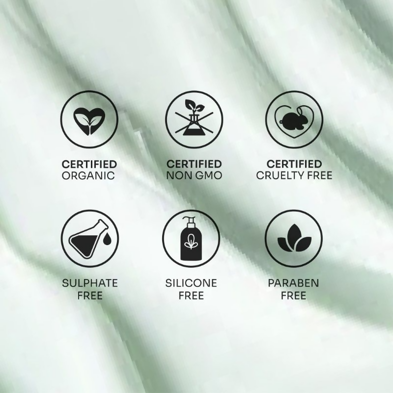 https://cdn.shopify.com/s/files/1/1857/6931/files/eixh3AyNP2.png?v=1724217629