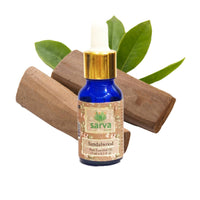 https://cdn.shopify.com/s/files/1/1857/6931/products/ejCI8fCQ0N.jpg?v=1670652500