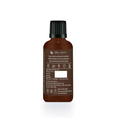 https://cdn.shopify.com/s/files/1/1857/6931/products/ejVfl3IWnS.jpg?v=1677749008