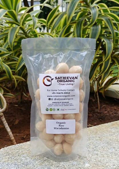 https://cdn.shopify.com/s/files/1/1857/6931/files/ek44CHbjp7.jpg?v=1763105092